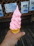 2017.7.20(木）北海道ツーリング・芝桜ソフトクリーム